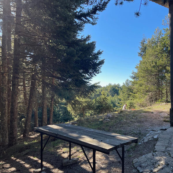 Bardouniotikos Rooster with Hilopites in the Oven (a G.G Recipe) - Gastronomy Tours img 9435 orig - Gastronomy Tours